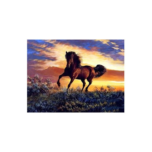 Kit Pintura Arte Diamantes Caballo Atardecer Dm-65 Educar