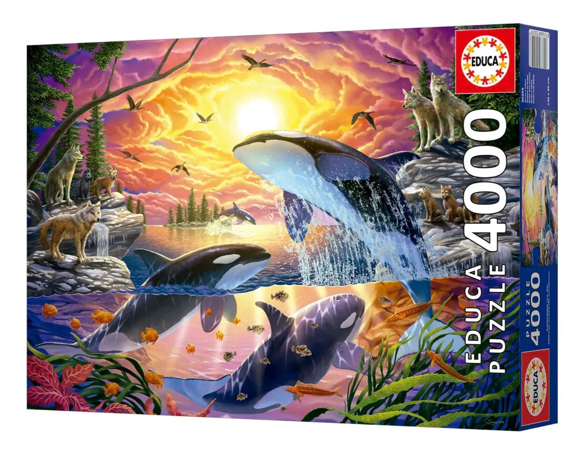 Rompecabezas 4000 Piezas Orcas Y Lobos Educa Puzzle