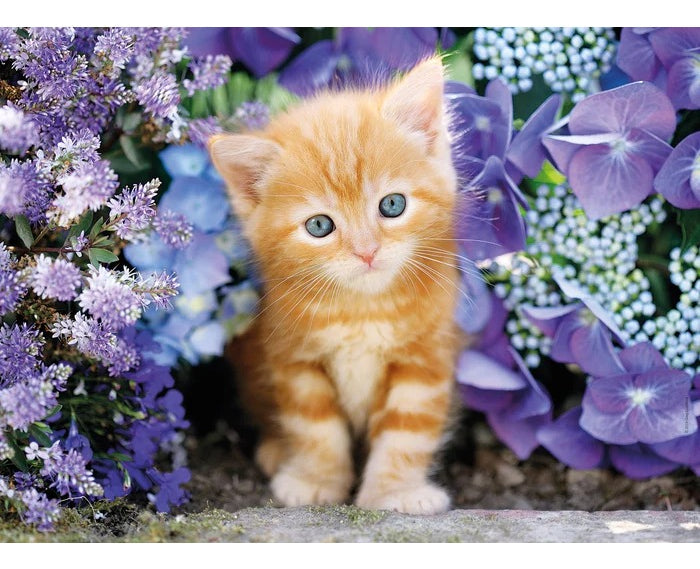 30415 Gato Rojizo Ginger Rompecabezas Clementoni 500 Piezas