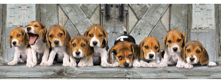 Rompecabezas Clementoni Panorama Beagles Compact Pro 1000 Pz