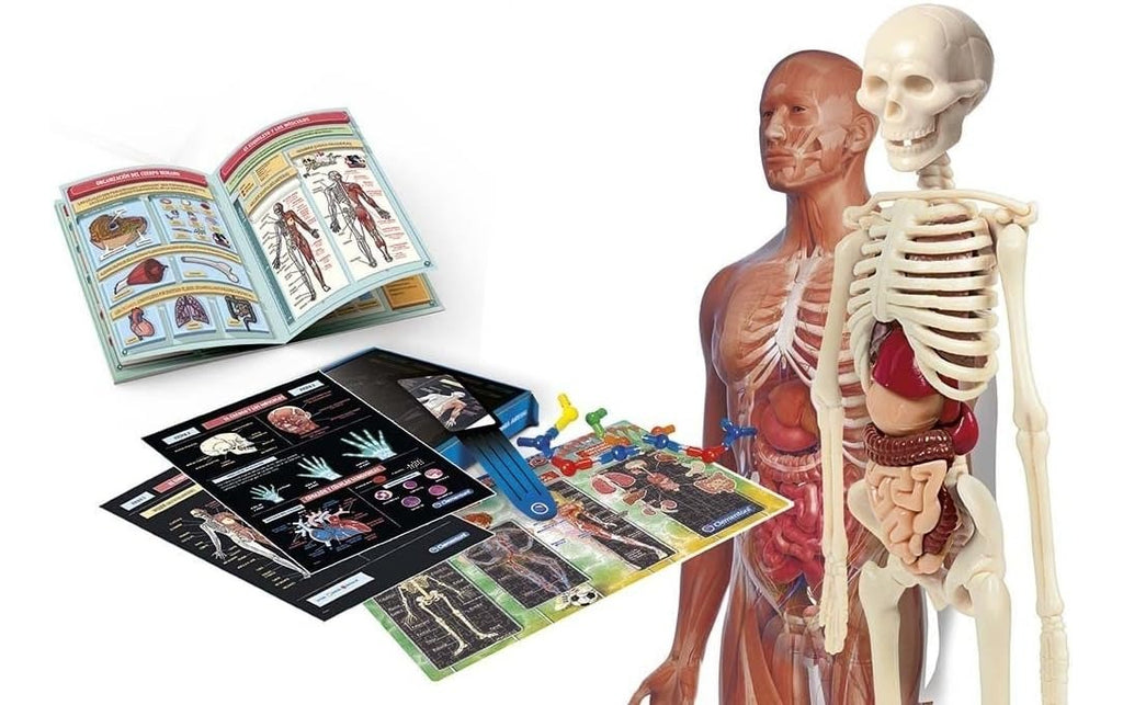 Laboratorio De Anatomía Clementoni 55485 Juego Educativo