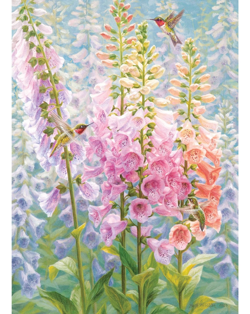 Rompecabezas Summer Rainbow Cobble Hill 500 Piezas