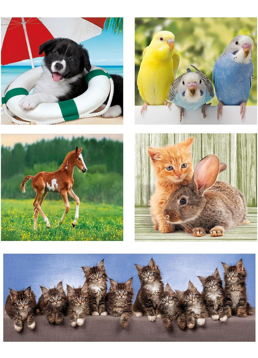 Rompecabezas 10 En 1 Amigos Animales Tiernos Para Niños