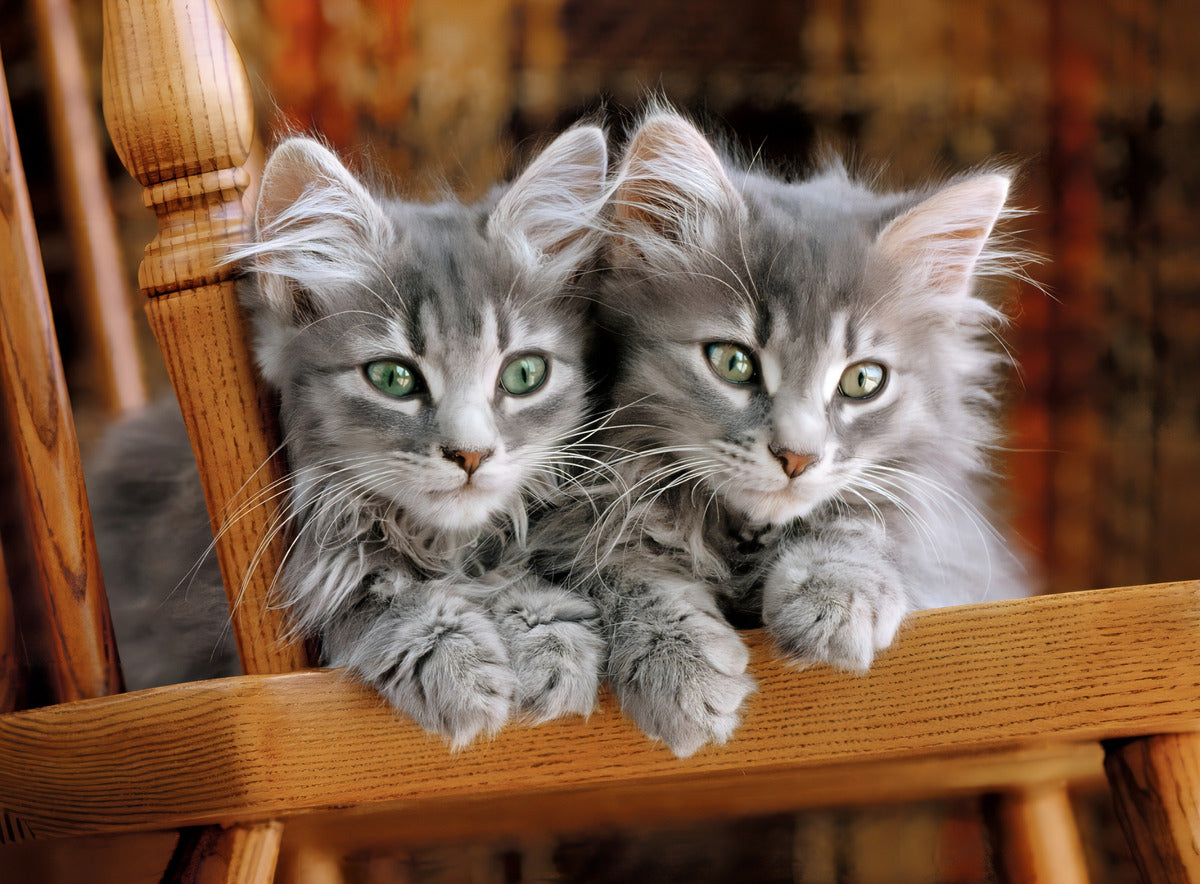 Gatitos Gatos Rompecabezas 500 Pz Clementoni