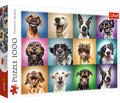 Perros Alegres Rompecabezas 1000pz Trefl Retratos Divertidos