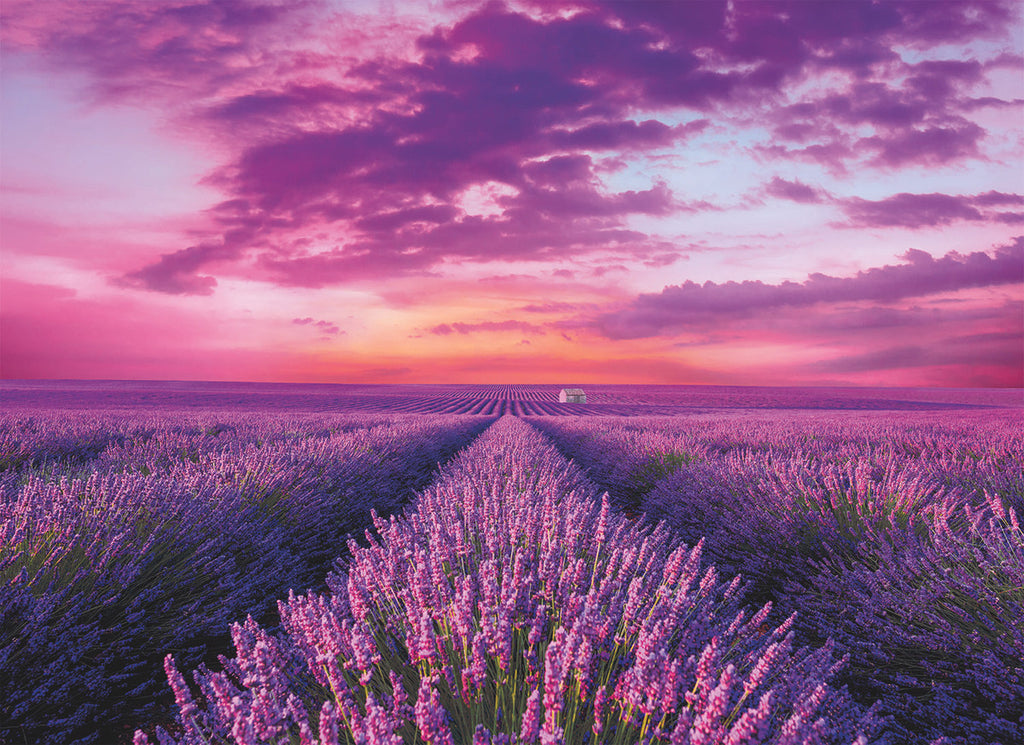Campo De Lavanda Gran Reto Rompecabezas 1000 Pz Clementoni