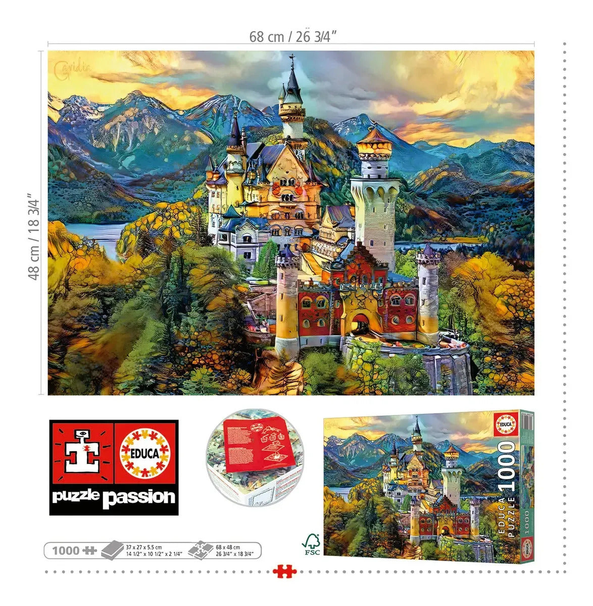 Puzzle Rompecabezas Educa X 1000 Piezas Neuschwanstein Tts