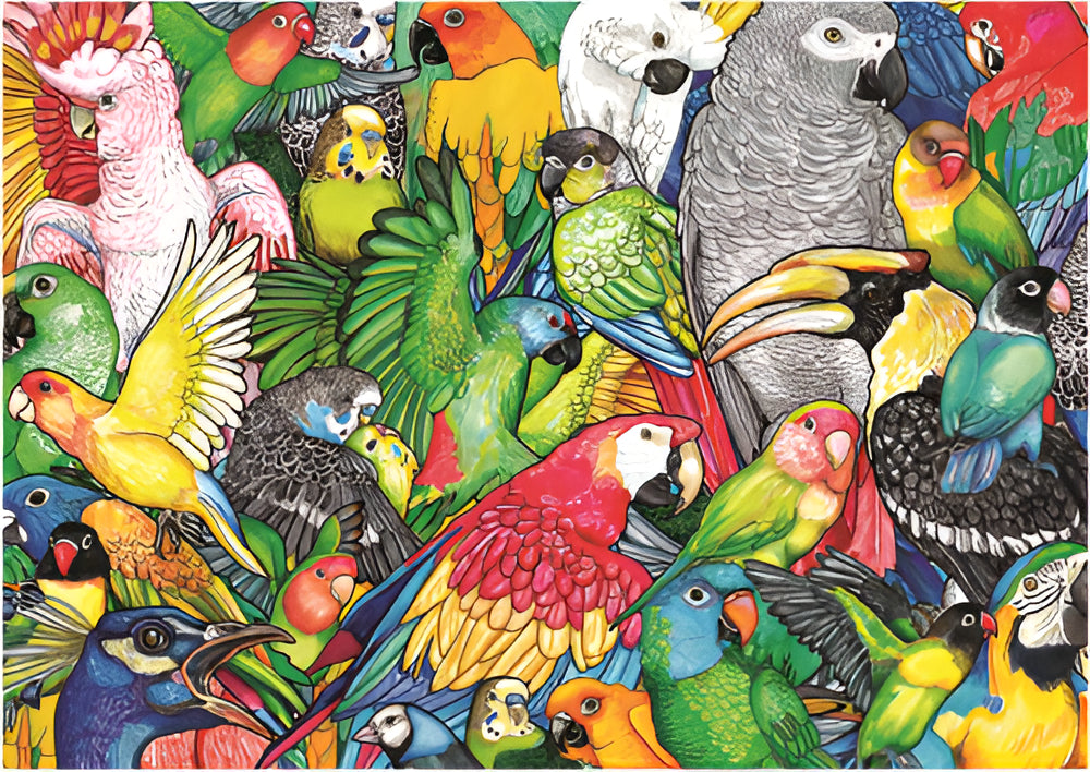Puzzle Rompecabeza 500 Piezas Loros Educa