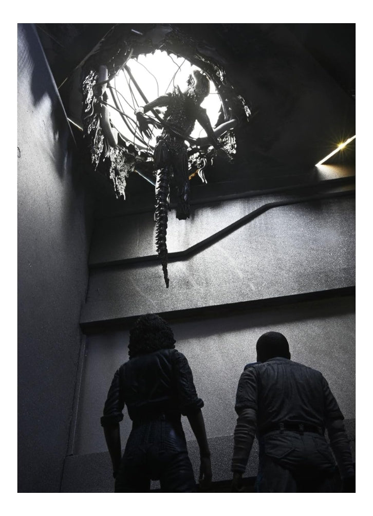 Figura De Lujo Alien: Romulus Suspendida Xenomorph Xx121