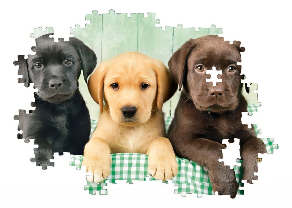 Cachorros Perros Labradores Rompecabezas 1000 Pz Clementoni