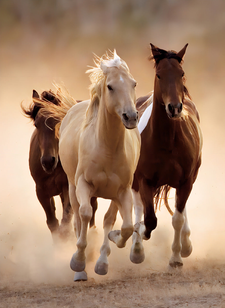 Manada De Caballos A Galope Rompecabezas 1000 Pz Clementoni