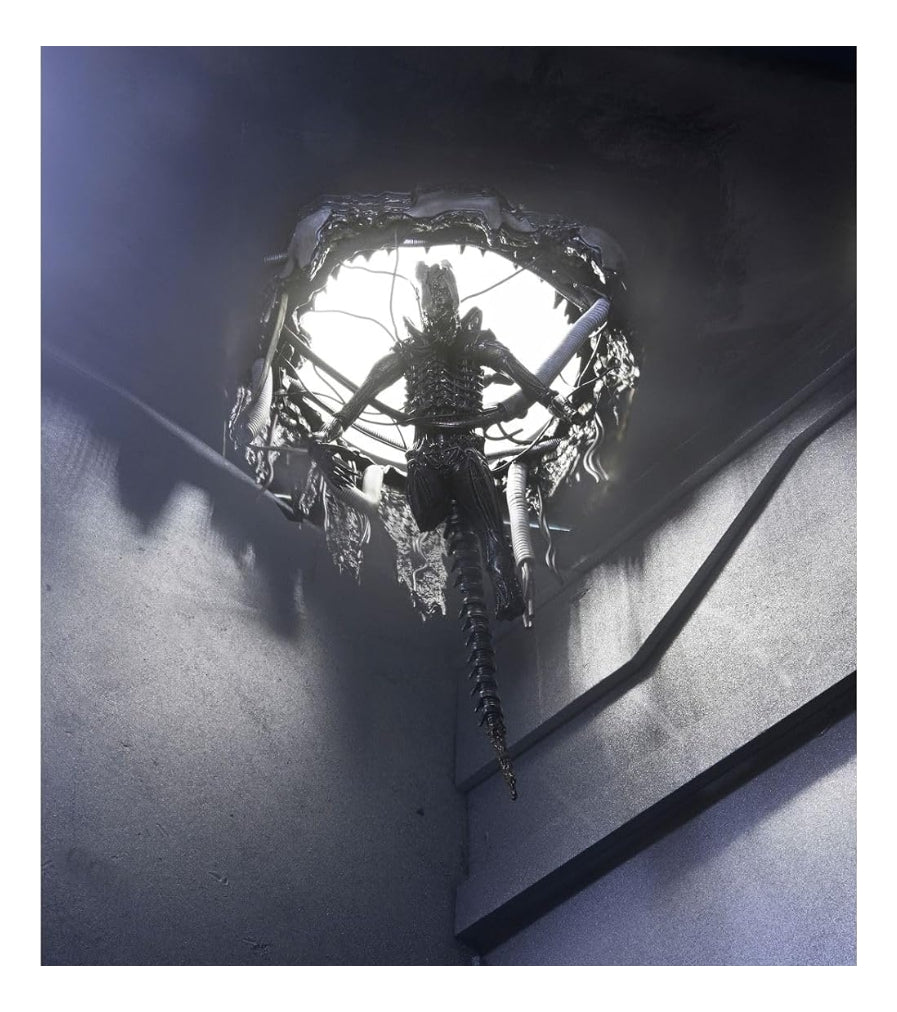 Figura De Lujo Alien: Romulus Suspendida Xenomorph Xx121