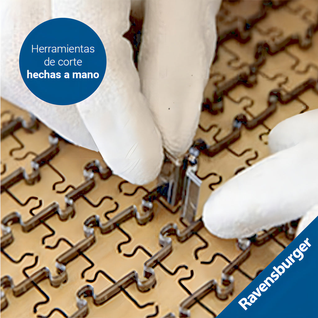 Rompecabezas Ravensburger 16995 Paseo En Bicicleta Mundo 1000p