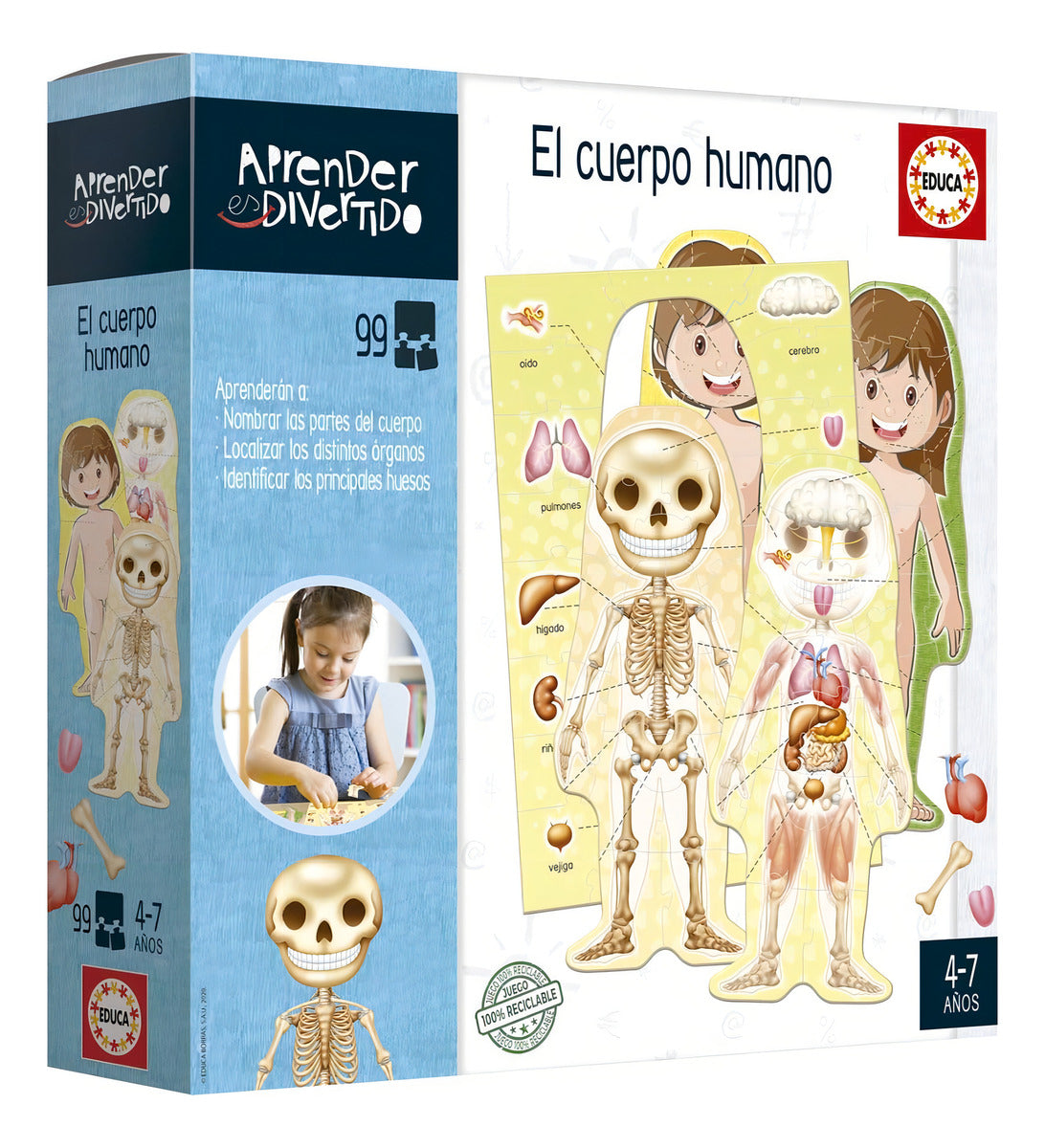 Juego Aprender Es Divertido El Cuerpo Humano Educa 18701