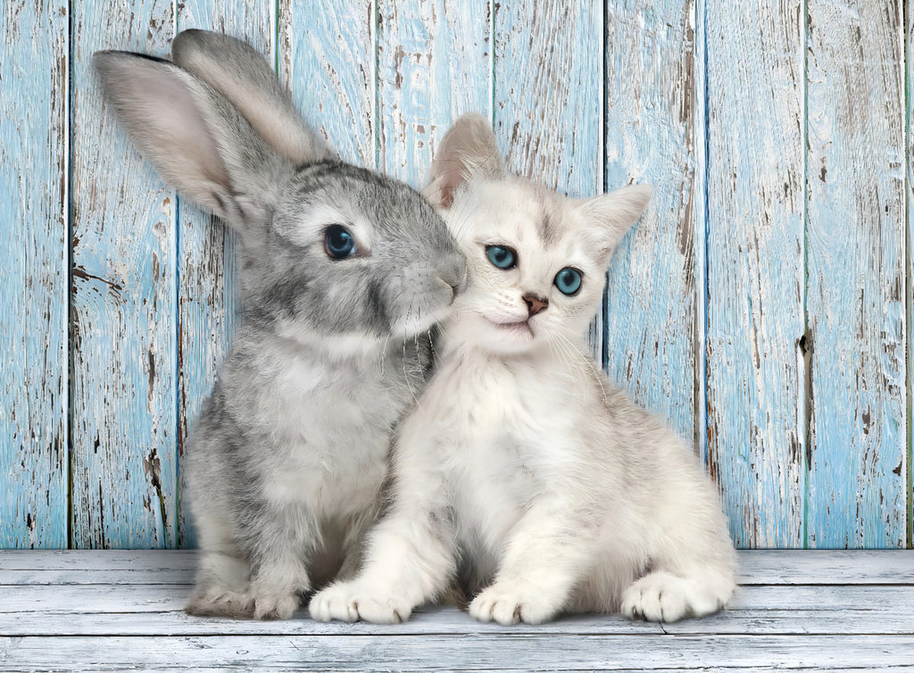 Gato Y Conejo Juntos Rompecabezas 500 Clementoni