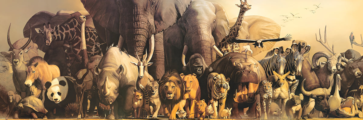 Rompecabezas Eurographics Panoramic Puzzles Noah's Ark 6010-4654 De 1000 Piezas