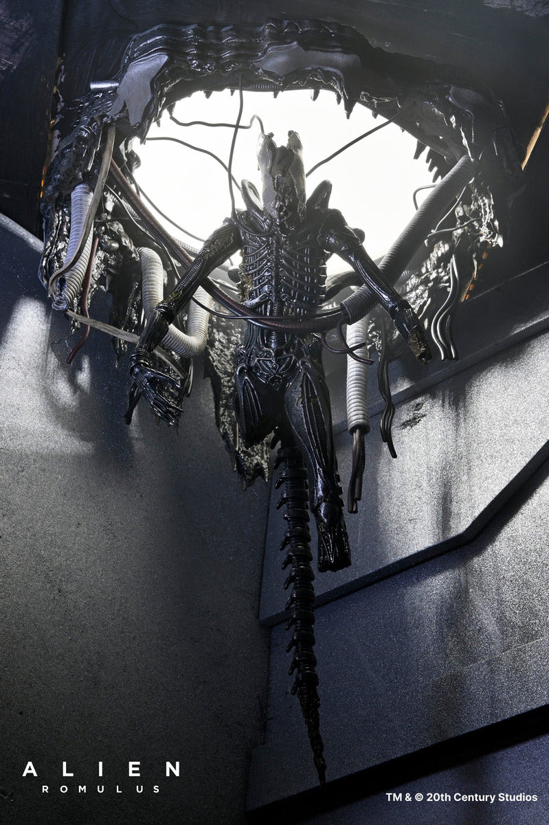 Figura De Lujo Alien: Romulus Suspendida Xenomorph Xx121