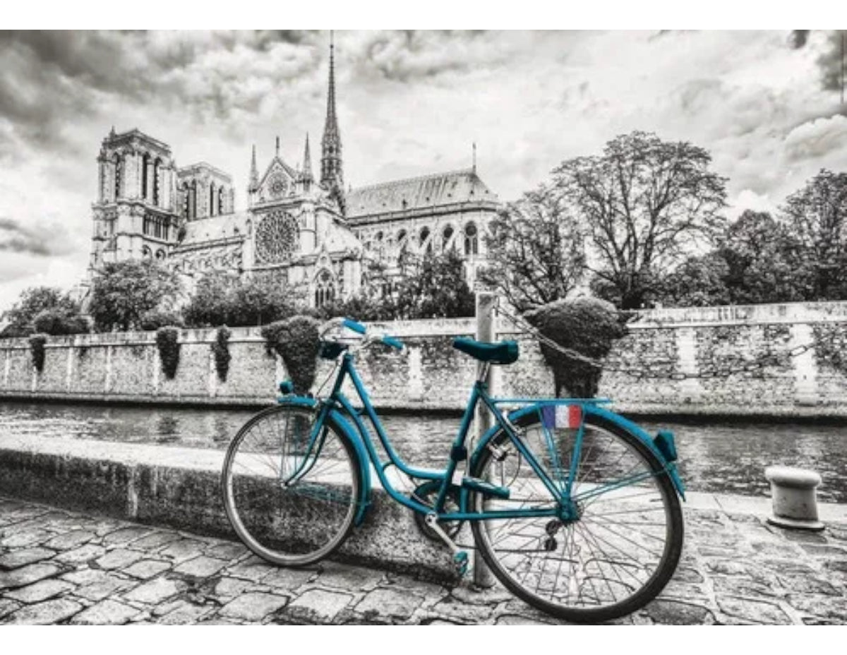 Rompecabezas 500 Piezas Arte Bicicleta Notre Dame Educa Borras