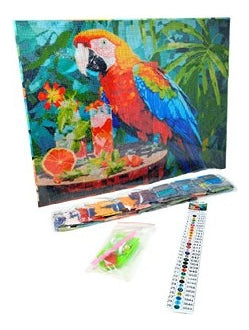 Kit Pintura Diamantes Arte Diamante Guacamaya Educar Dm-78