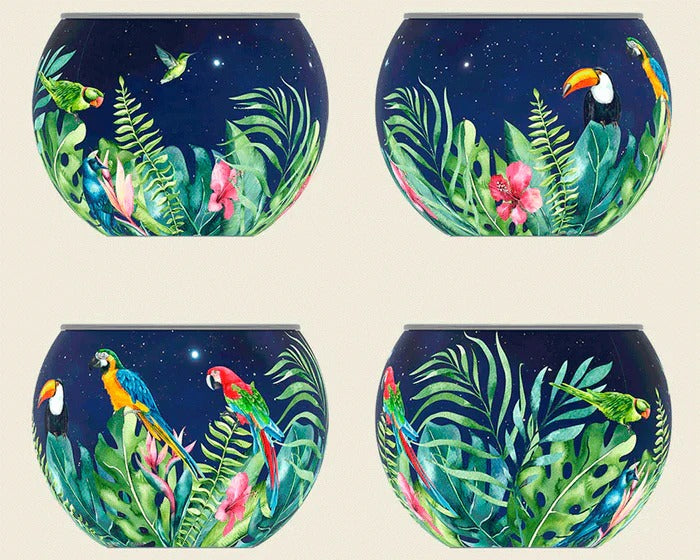 Aves Del Paraíso Maceta Rompecabezas 80 Piezas Piece Relax