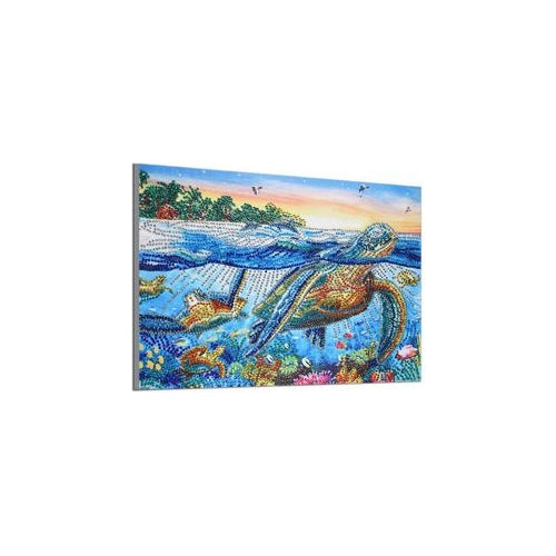 Kit Pintura Arte Animales Marinos Dm-38 Tortugas Educar