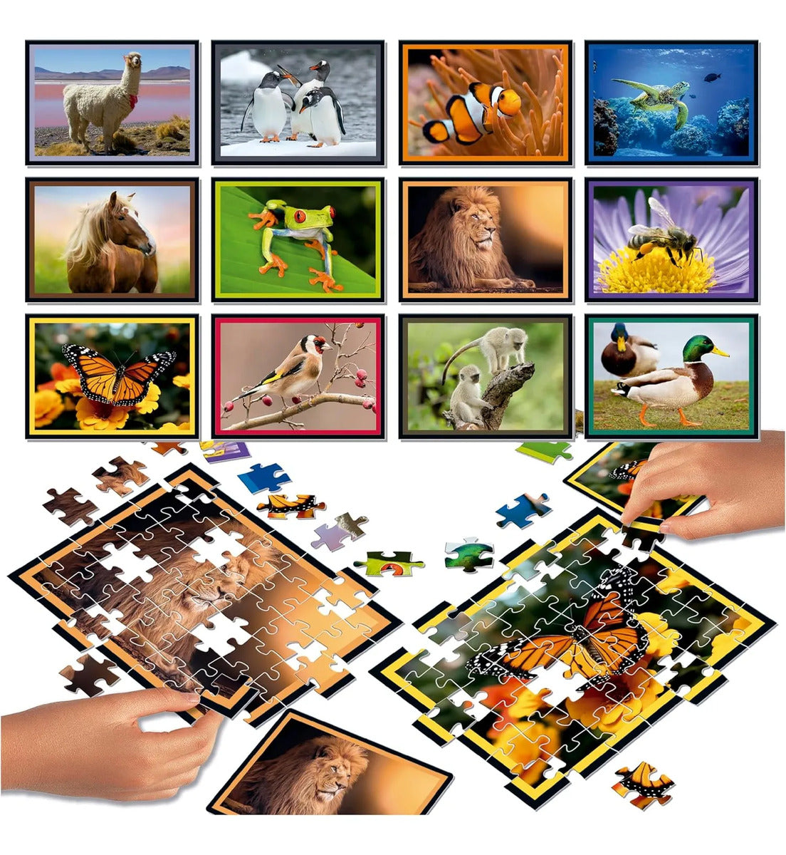 Rompecabezas Y Juego Batalla Natura 12x42 Piezas Educa
