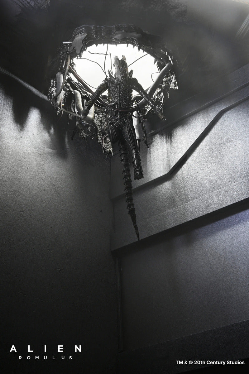 Figura De Lujo Alien: Romulus Suspendida Xenomorph Xx121