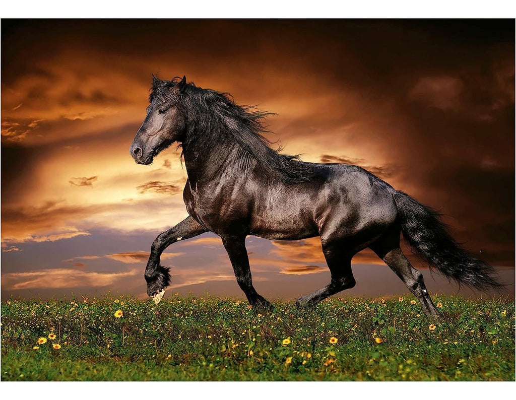 Caballo Negro Al Trote Rompecabezas 1000 Piezas Educa