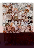 Rompecabezas 1000 Pz, Mundo De Gatos* Hao Xiang, Cat World