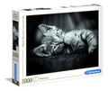 Rompecabezas Gato Blanco Y Negro Gatito 1000 Pz Clementoni