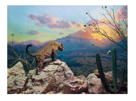 Jaguar Diorama Rompecabezas Pomegranate 1000 Pzas