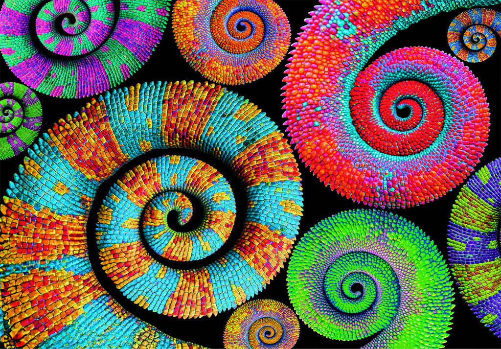 Rompecabezas Caracoles De Colores 500 Pz Clementoni Arte