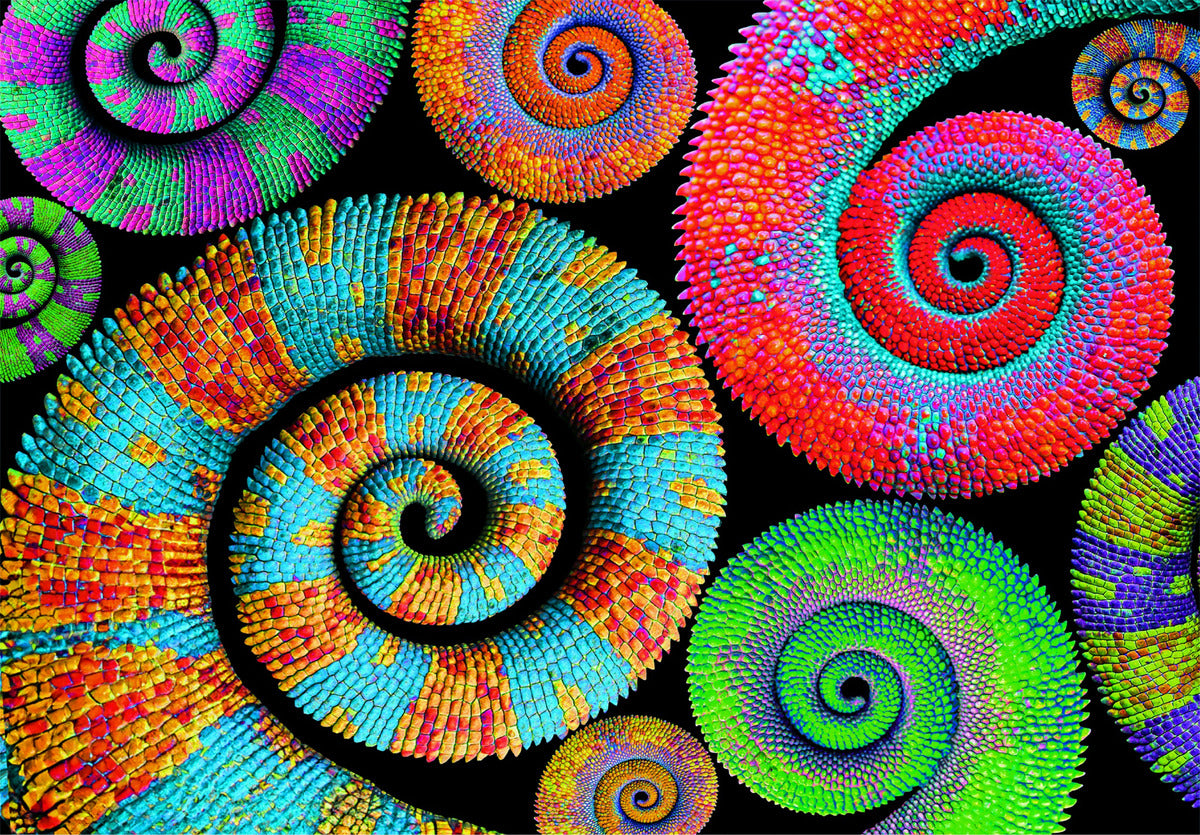 Rompecabezas Caracoles De Colores 500 Pz Clementoni Arte