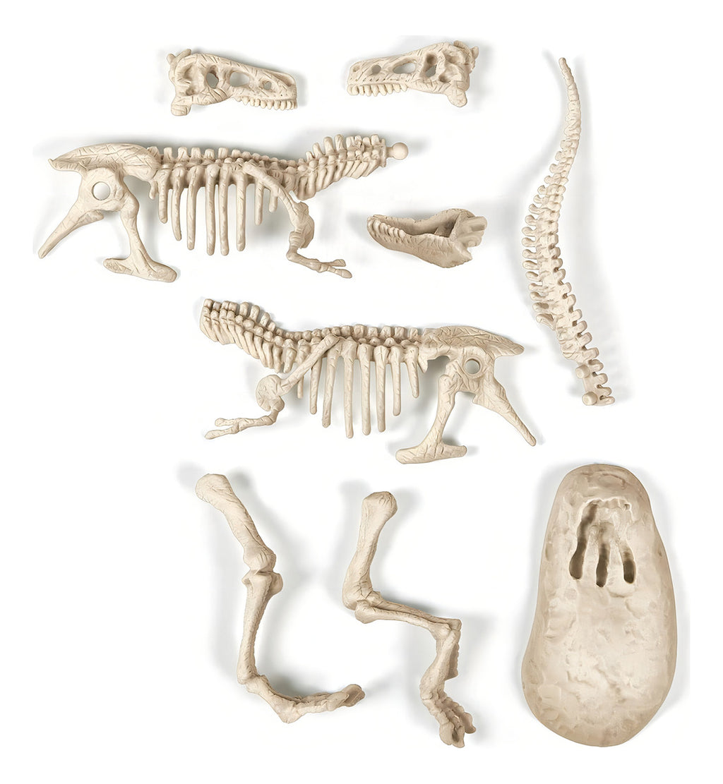 Juego De Excavación T-rex Brilla En La Obscuridad Clementoni
