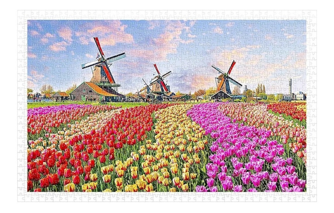 Tulipanes Y Molinos Holanda Rompecabezas 1000 Piezas Pintoo