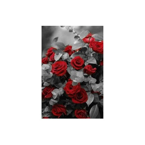 Kit Pintura Arte Diamantes Rosas Rojas Dm-48 Educar