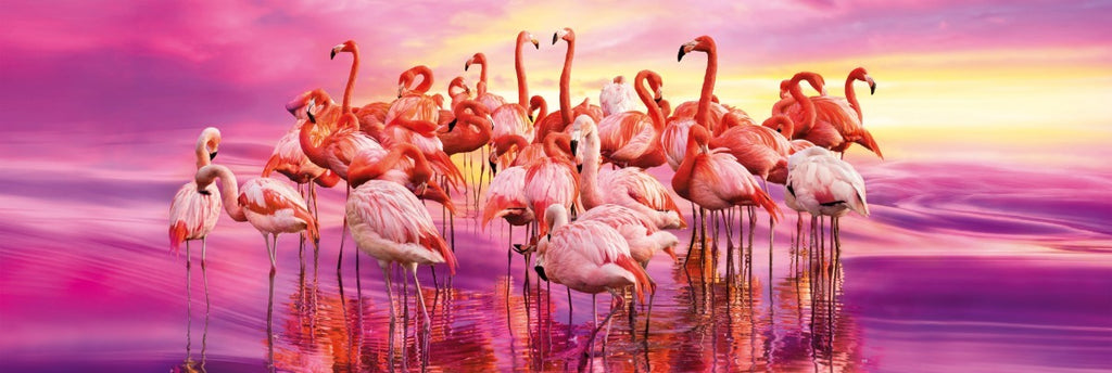 Danza De Flamingos Panorama Rompecabezas 1k Clementoni
