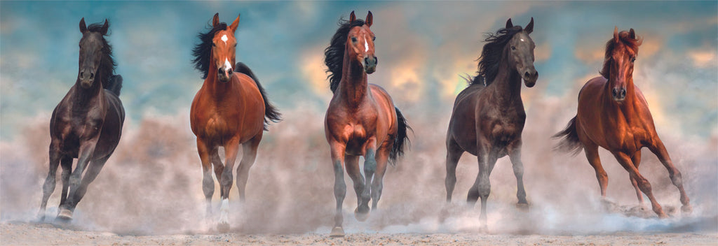 Rompecabezas Caballos Panorama + Poster 1000 Pz Clementoni