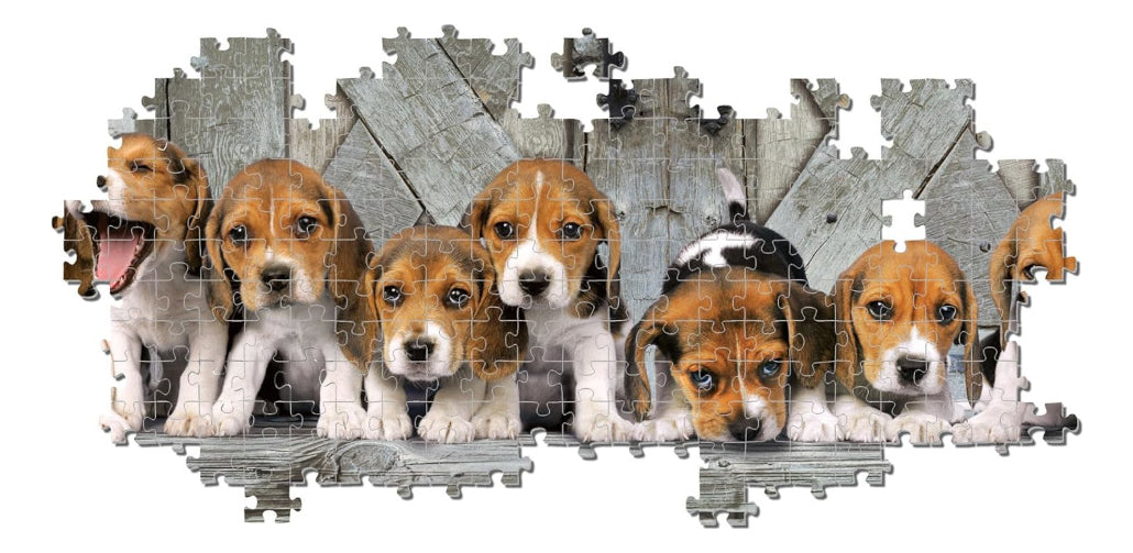 Rompecabezas Clementoni Panorama Beagles Compact Pro 1000 Pz