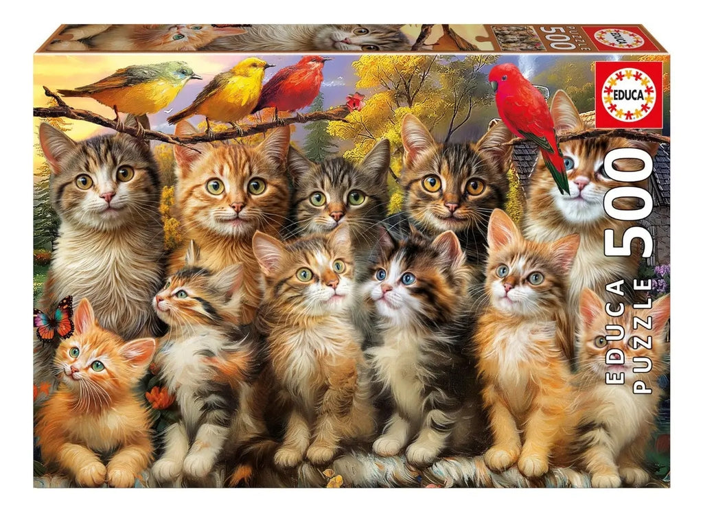Rompecabezas 500 Piezas Gatitos Y Pájaros Educa