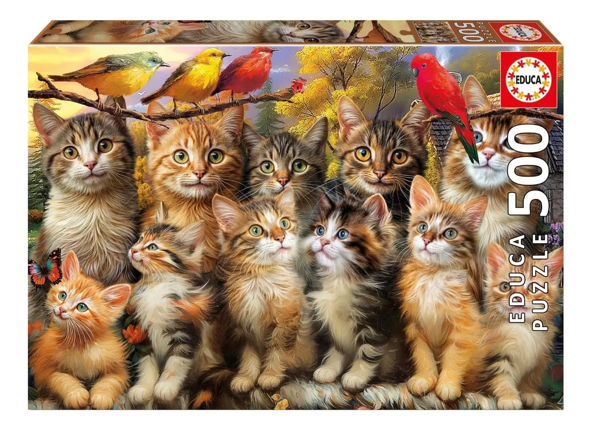 Rompecabezas 500 Piezas Gatitos Y Pájaros Educa